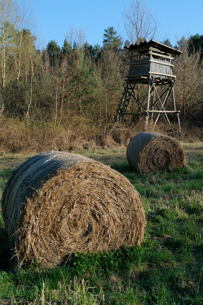 Hay bales with a wooden lookout tower in a serene rural setting.