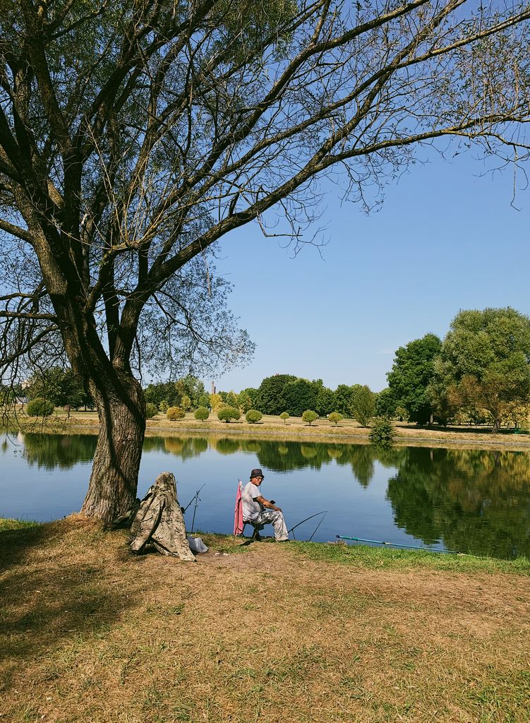 Man sitting and fishing by a calm lake under a bare tree during a sunny day in Minsk, Belarus.